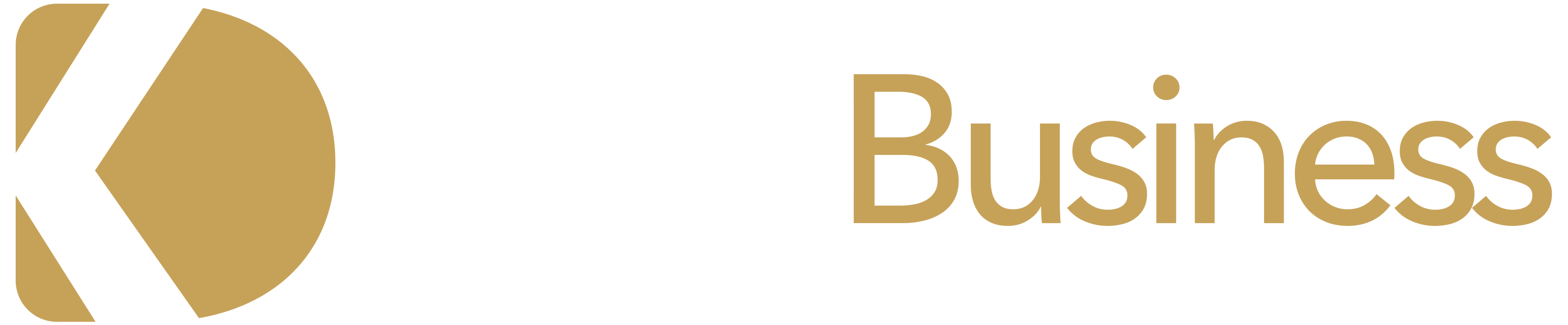 KDD Business